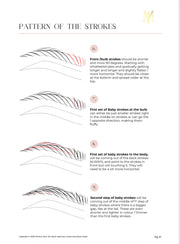 Advanced Brow workbook