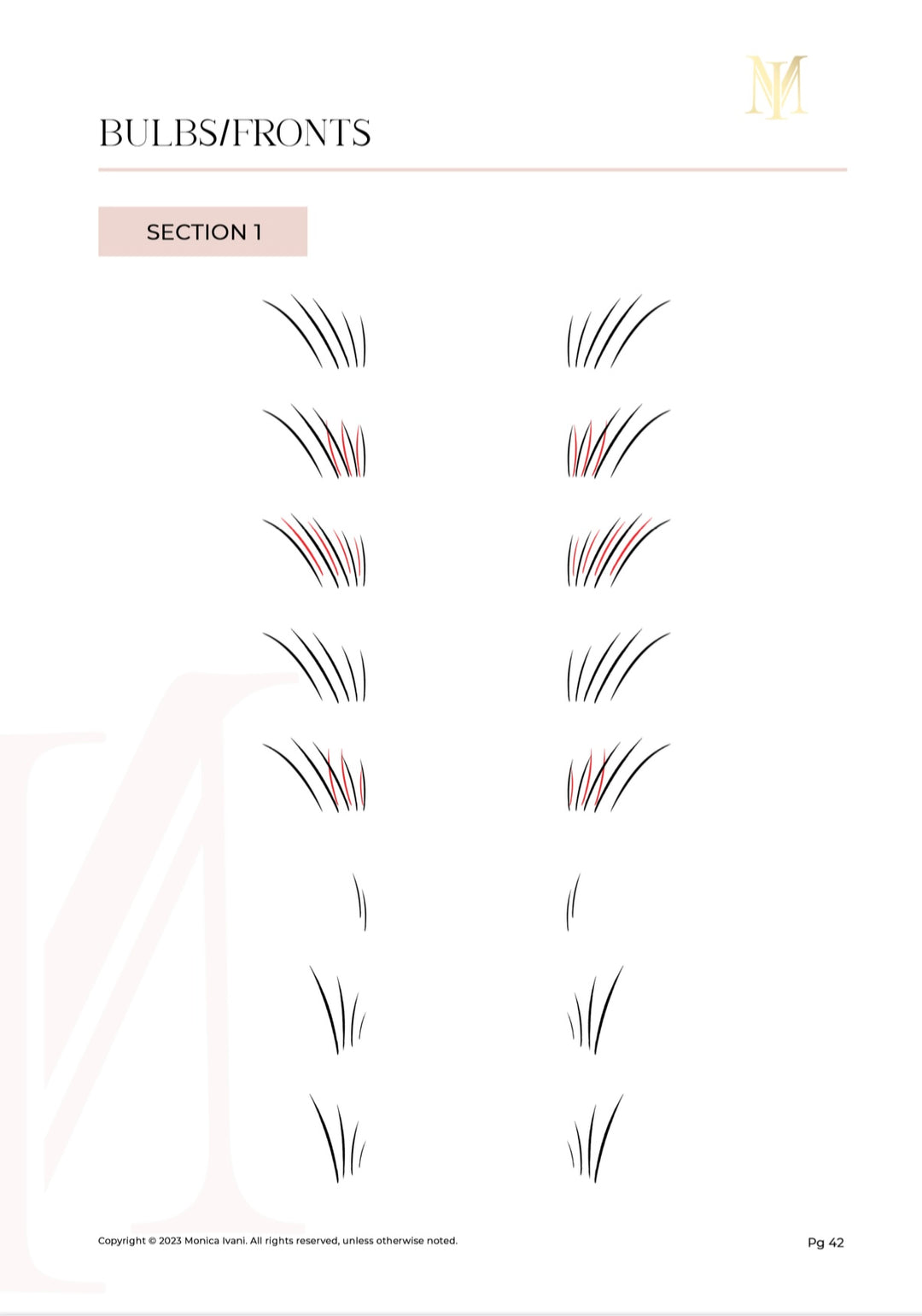 Advanced Brow workbook – MyBrows Permanent Makeup