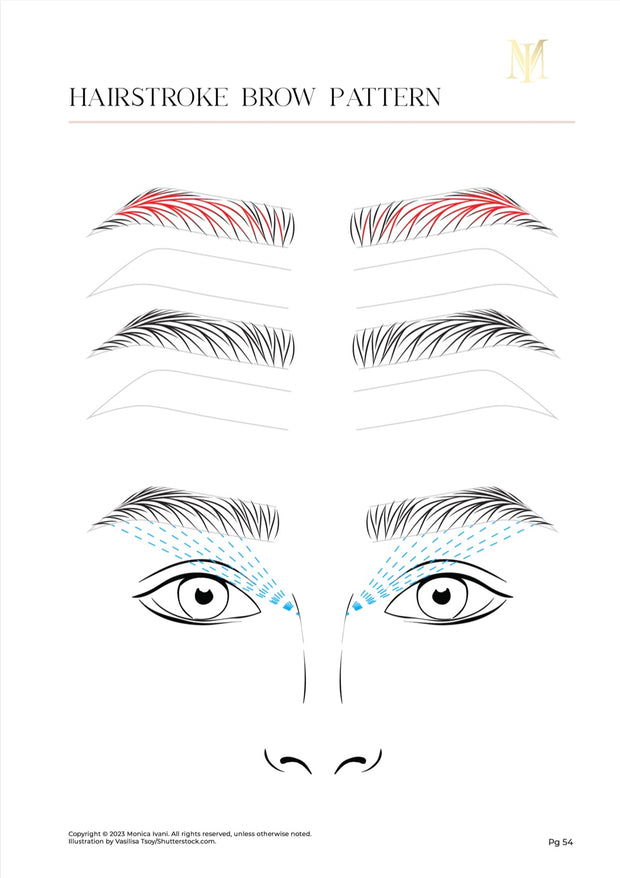 Advanced Brow workbook